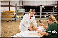 LCFAIR15-4925.jpg