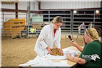 LCFAIR15-4928.jpg