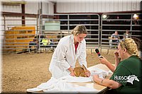 LCFAIR15-4929.jpg