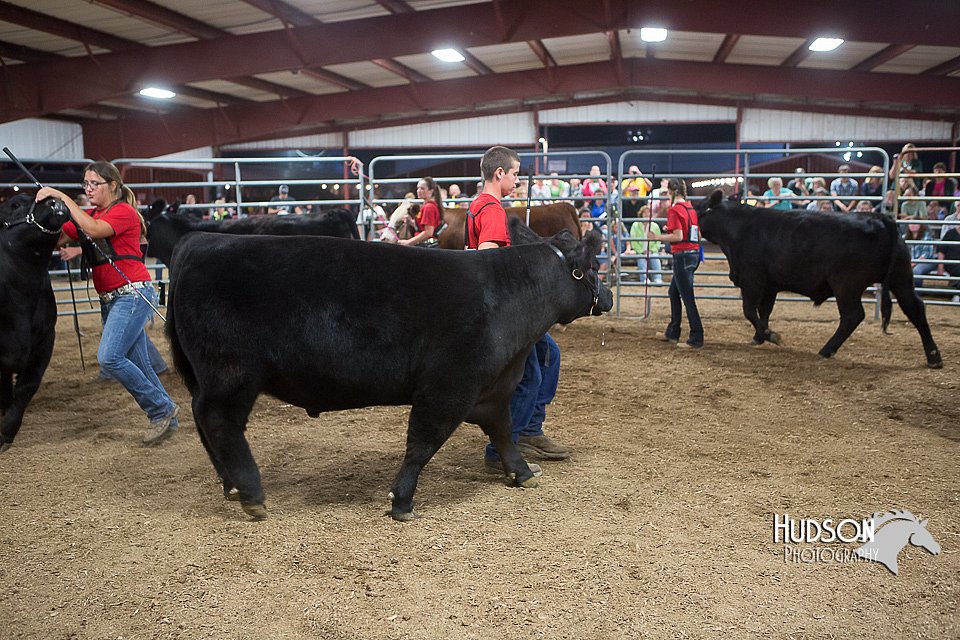 LCFAIR15-5020.jpg