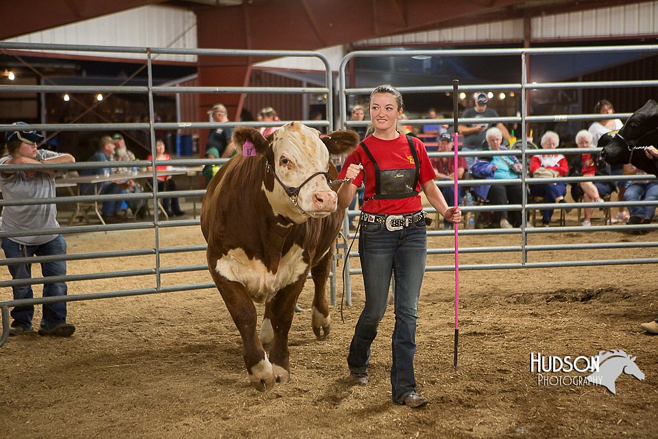 LCFAIR15-5028.jpg