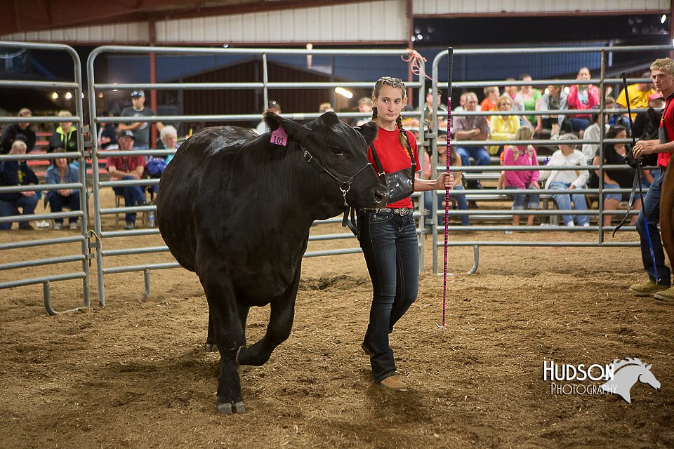 LCFAIR15-5032.jpg