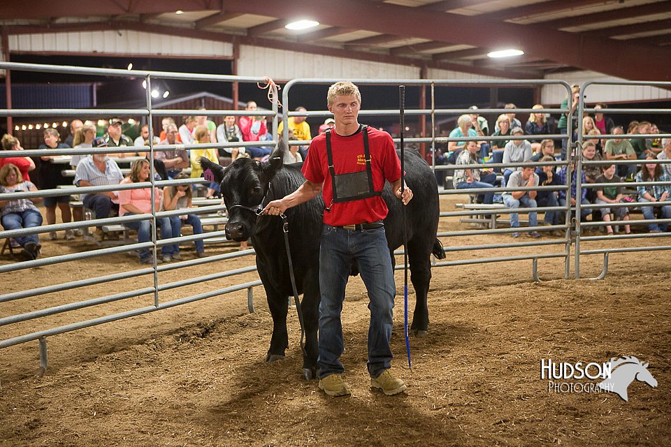 LCFAIR15-5033.jpg