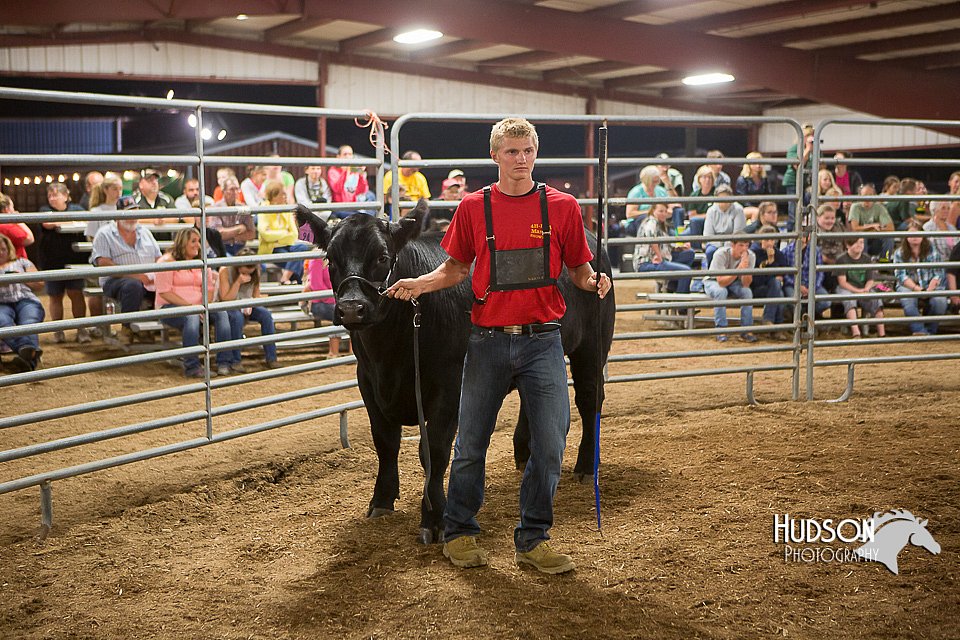 LCFAIR15-5034.jpg