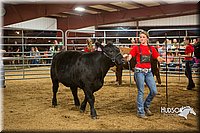 LCFAIR15-5025.jpg