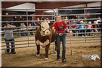 LCFAIR15-5027.jpg