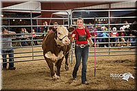LCFAIR15-5028.jpg