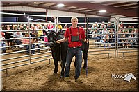 LCFAIR15-5034.jpg