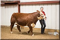 LCFAIR15-5038.jpg