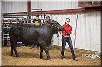LCFAIR15-5039.jpg