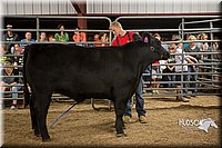LCFAIR15-5075.jpg