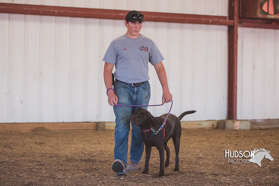 LCFAIR15-4389.jpg