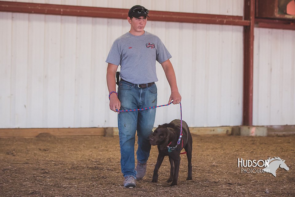 LCFAIR15-4391.jpg