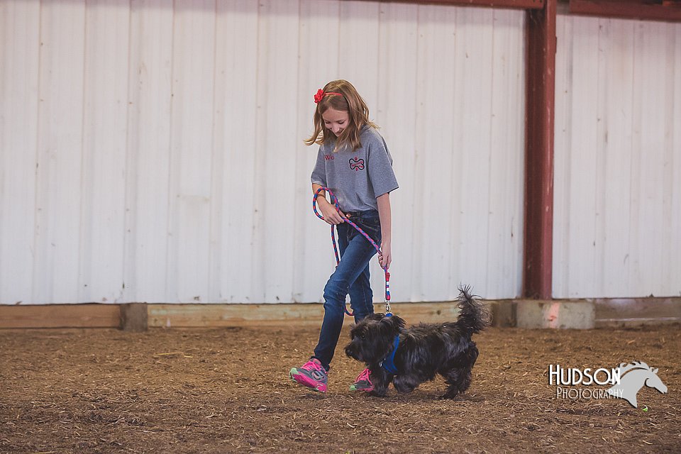 LCFAIR15-4395.jpg