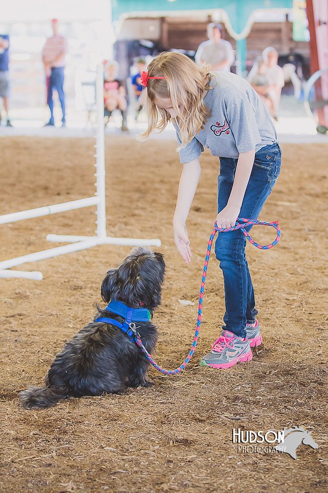 LCFAIR15-4417.jpg