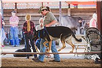 LCFAIR15-4376.jpg