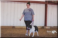 LCFAIR15-4387.jpg