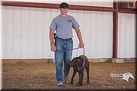 LCFAIR15-4391.jpg