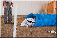 LCFAIR15-4436.jpg