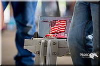 LCFAIR15-3592.jpg