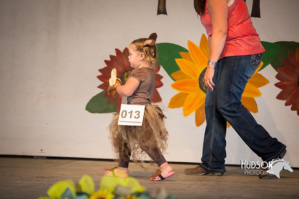 LCFAIR15-3102.jpg