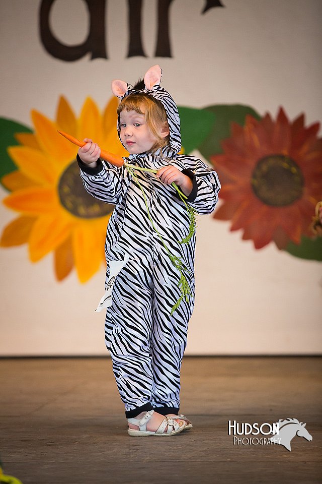 LCFAIR15-3142.jpg
