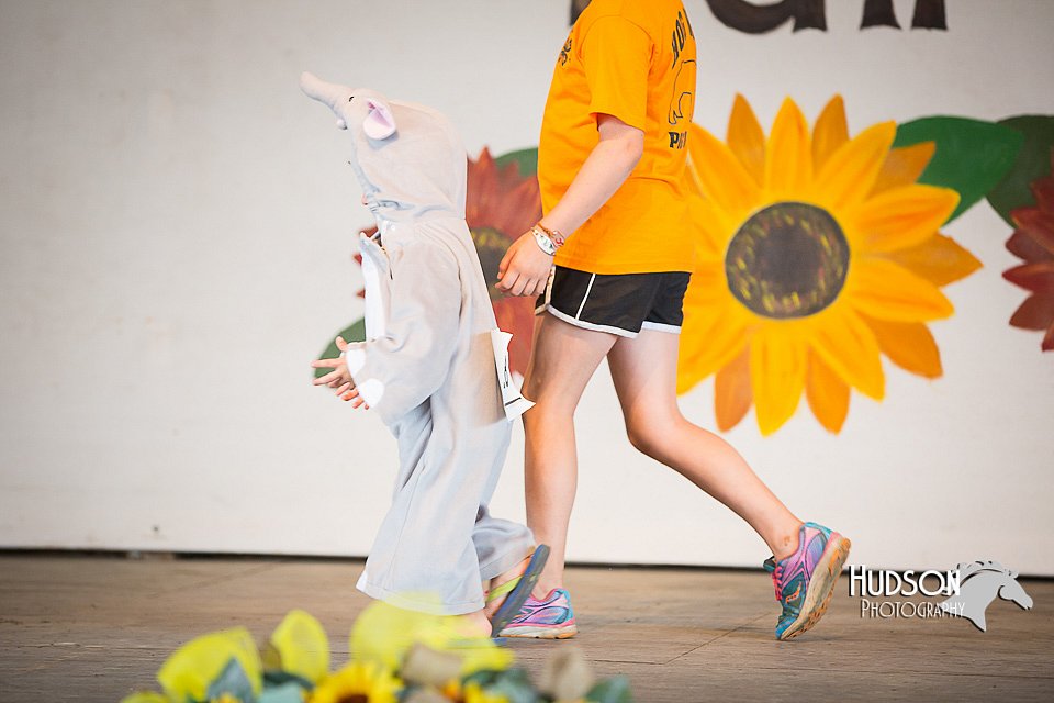 LCFAIR15-3230.jpg