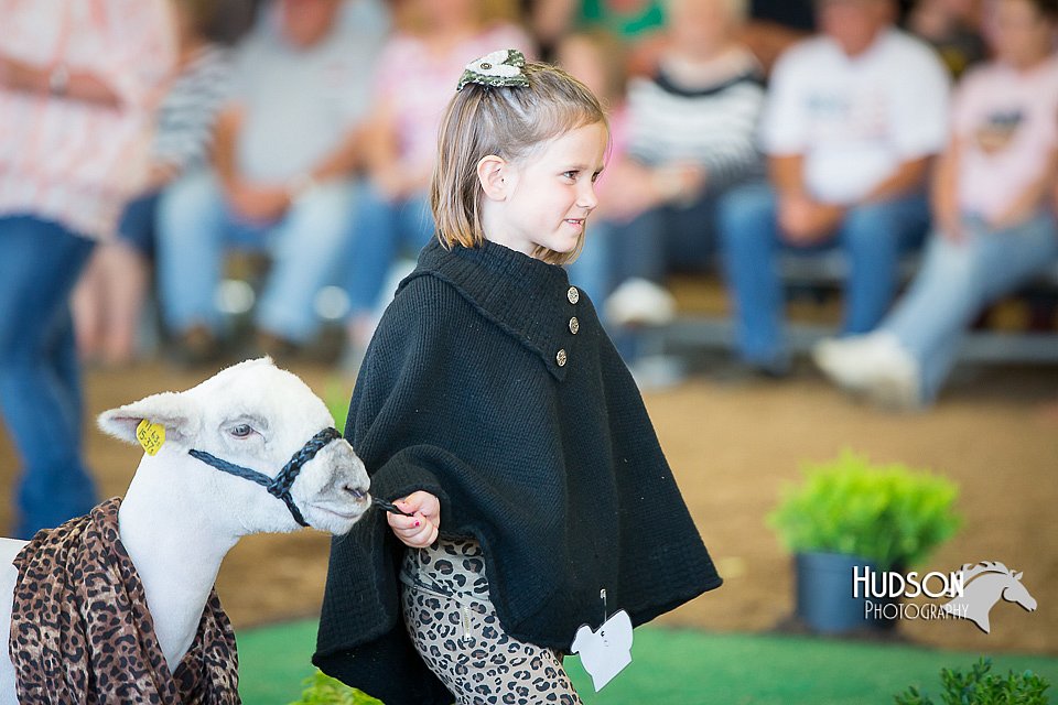 LCFAIR15-6773.jpg