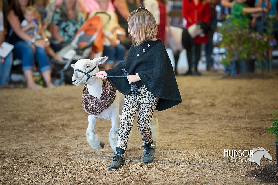 LCFAIR15-6778.jpg