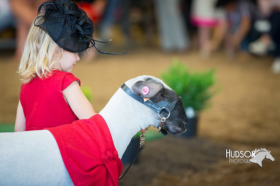 LCFAIR15-6789.jpg
