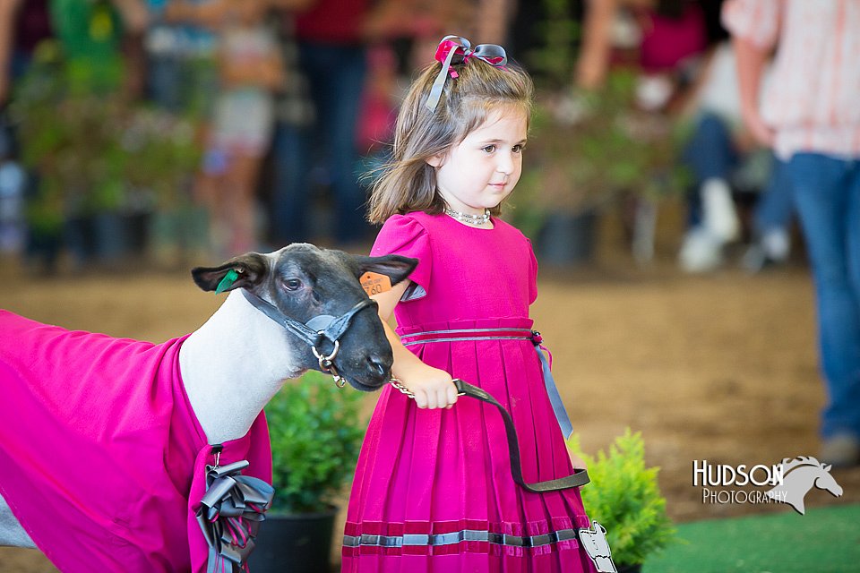 LCFAIR15-6801.jpg