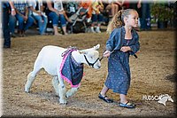 LCFAIR15-6766.jpg