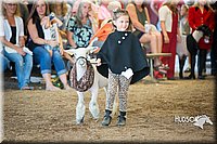 LCFAIR15-6767.jpg