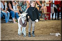 LCFAIR15-6768.jpg
