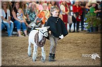LCFAIR15-6769.jpg