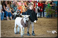 LCFAIR15-6770.jpg