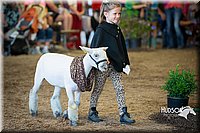 LCFAIR15-6771.jpg