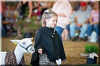 LCFAIR15-6772.jpg