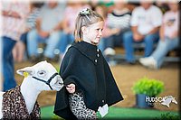 LCFAIR15-6773.jpg