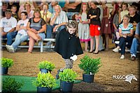LCFAIR15-6774.jpg