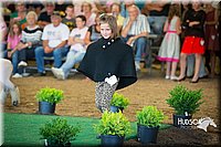 LCFAIR15-6775.jpg