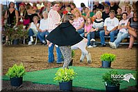 LCFAIR15-6776.jpg