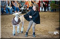 LCFAIR15-6779.jpg