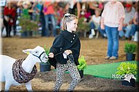 LCFAIR15-6780.jpg