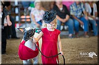 LCFAIR15-6785.jpg