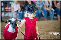 LCFAIR15-6786.jpg