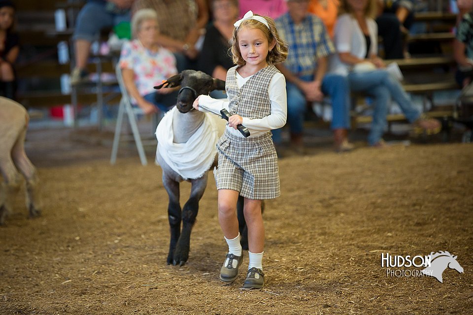 LCFAIR15-6900.jpg