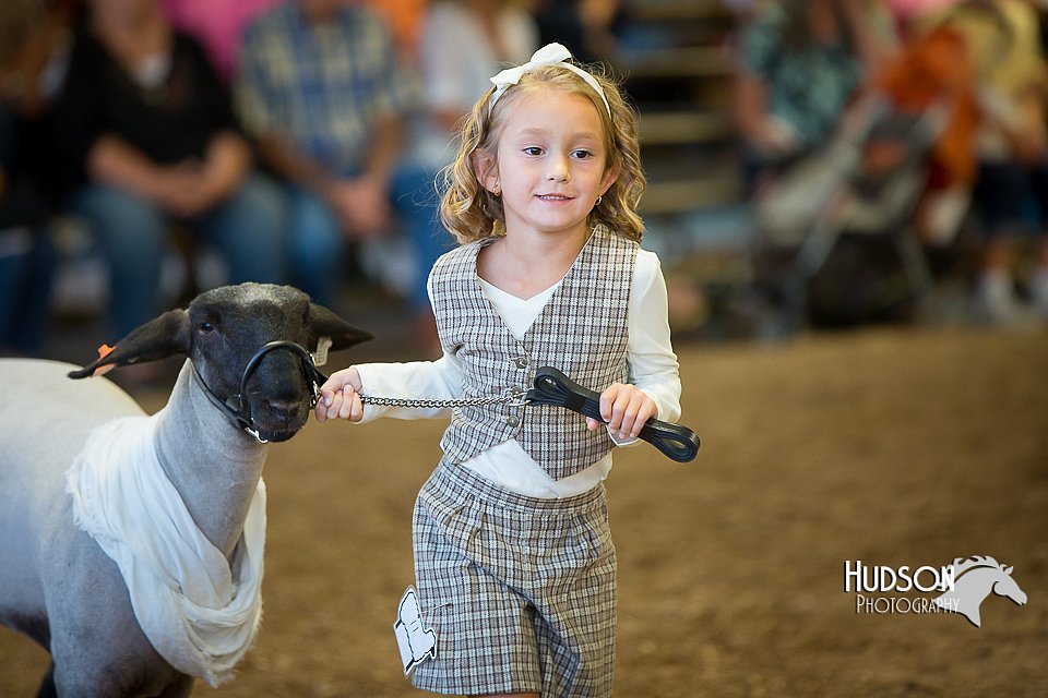 LCFAIR15-6901.jpg