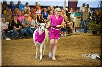 LCFAIR15-6940.jpg
