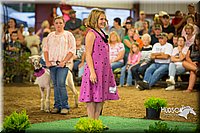 LCFAIR15-6954.jpg